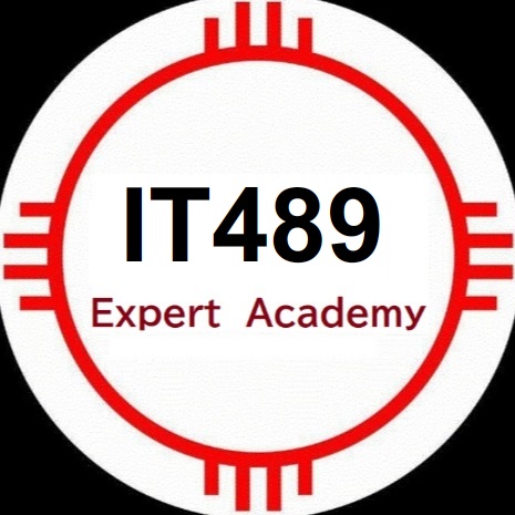 IT489