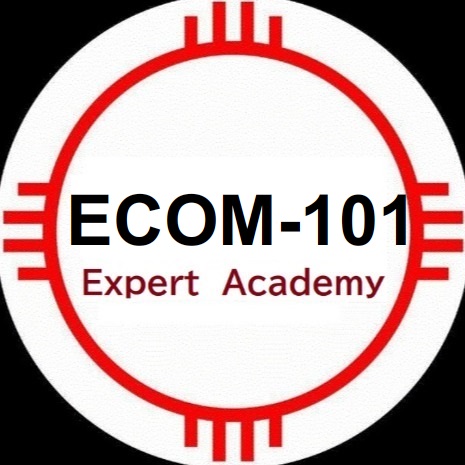 Ecom 101