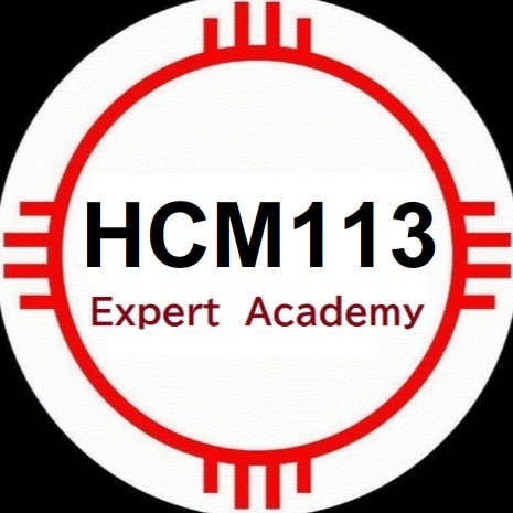 HCM113